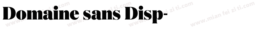 Domaine sans Disp字体转换